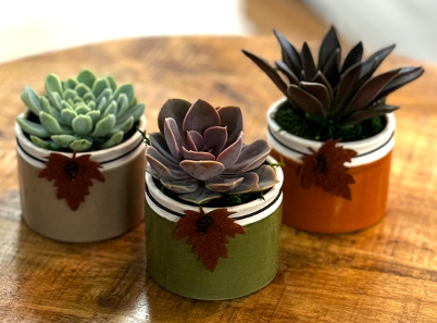 Harvest Charm Succulent Planter-image